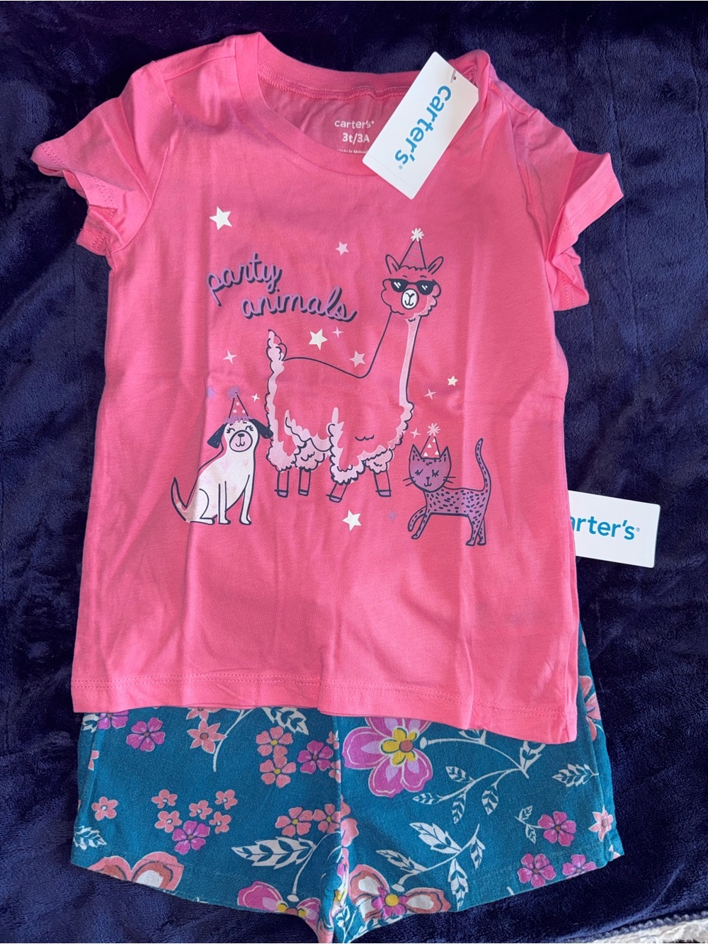 Carter's Pink Party Animals Short Sleeve Set with Teal Floral Shorts 2 pieces